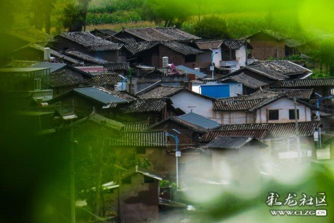 『新春走基层』孙吴县妇联开展“寒冬送温暖 巾帼暖人心”慰问活动