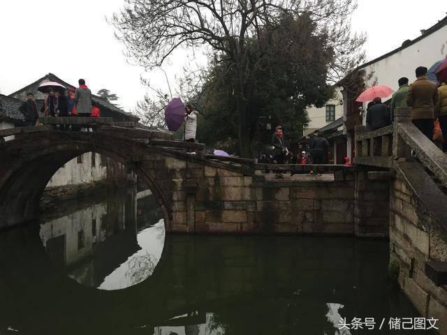 小猫钓鱼正版下载中文版